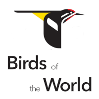 Birds of the World logo
