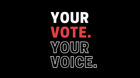 Your vote. Your voice.